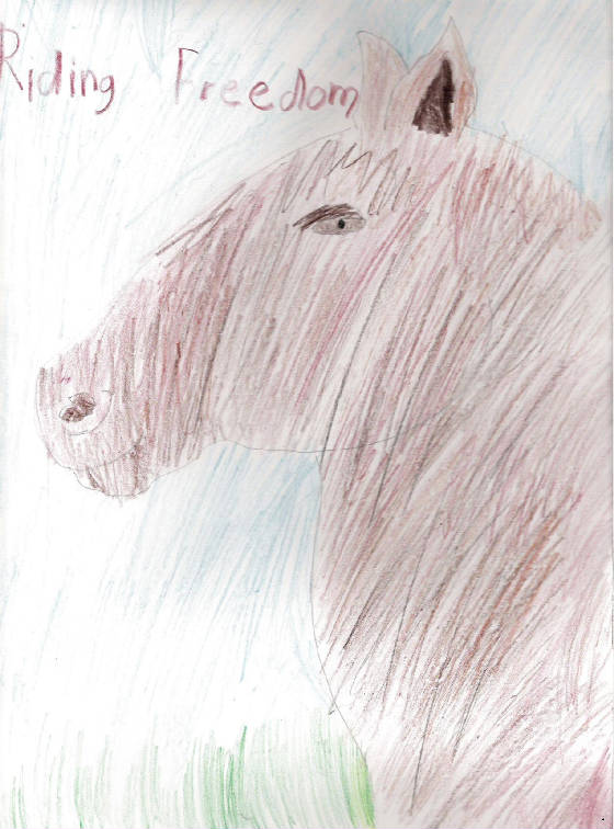 horse.jpg
